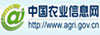 中國農(nóng)業(yè)信息網(wǎng)